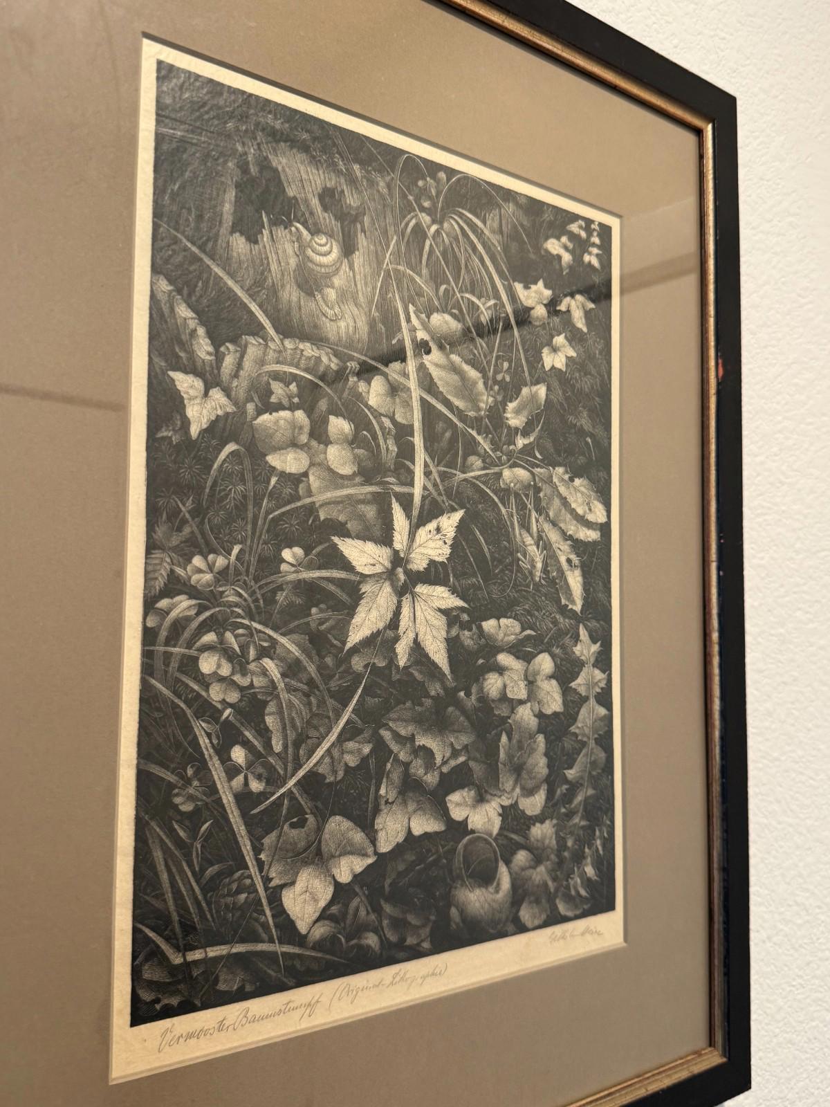Vintage Wilhelm Heise Original Lithograph Nächtliche Blumenstücke Botanical 1925