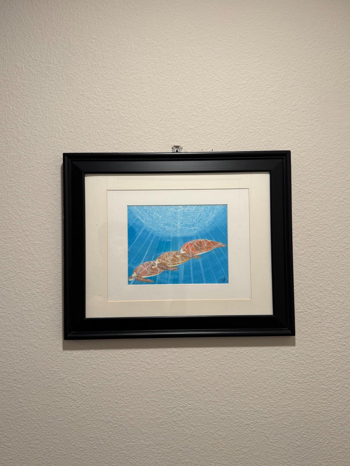 Scott Wright La Jolla Framed Sea Turtles Underwater Art Print Framed - Bird Rock