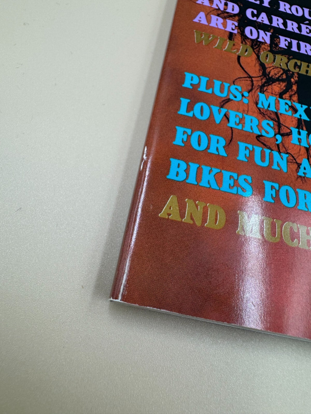 Playboy Magazine June 1990 , Vol 37 #6 , Renee Teneson Playm