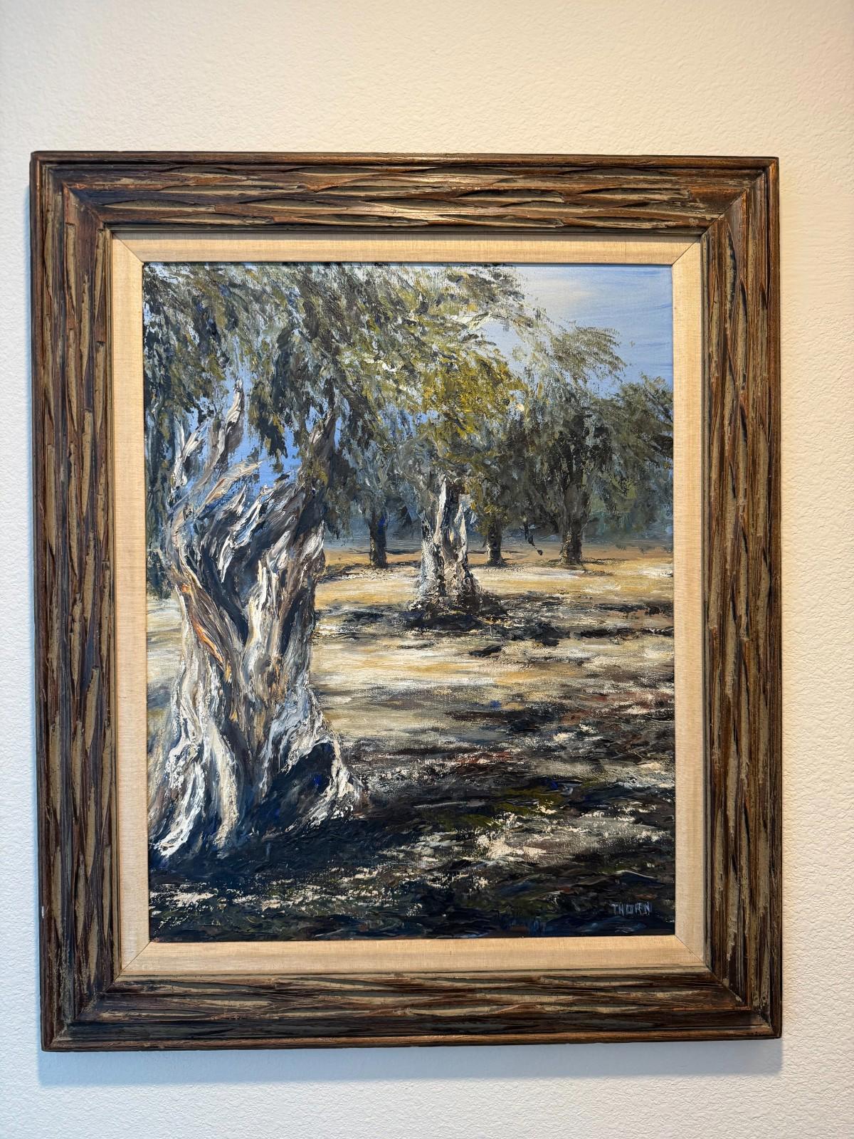 Vintage Framed Oil Painting Gnarled Olive Trees Landscape Signed Thorn 30x36 NM+