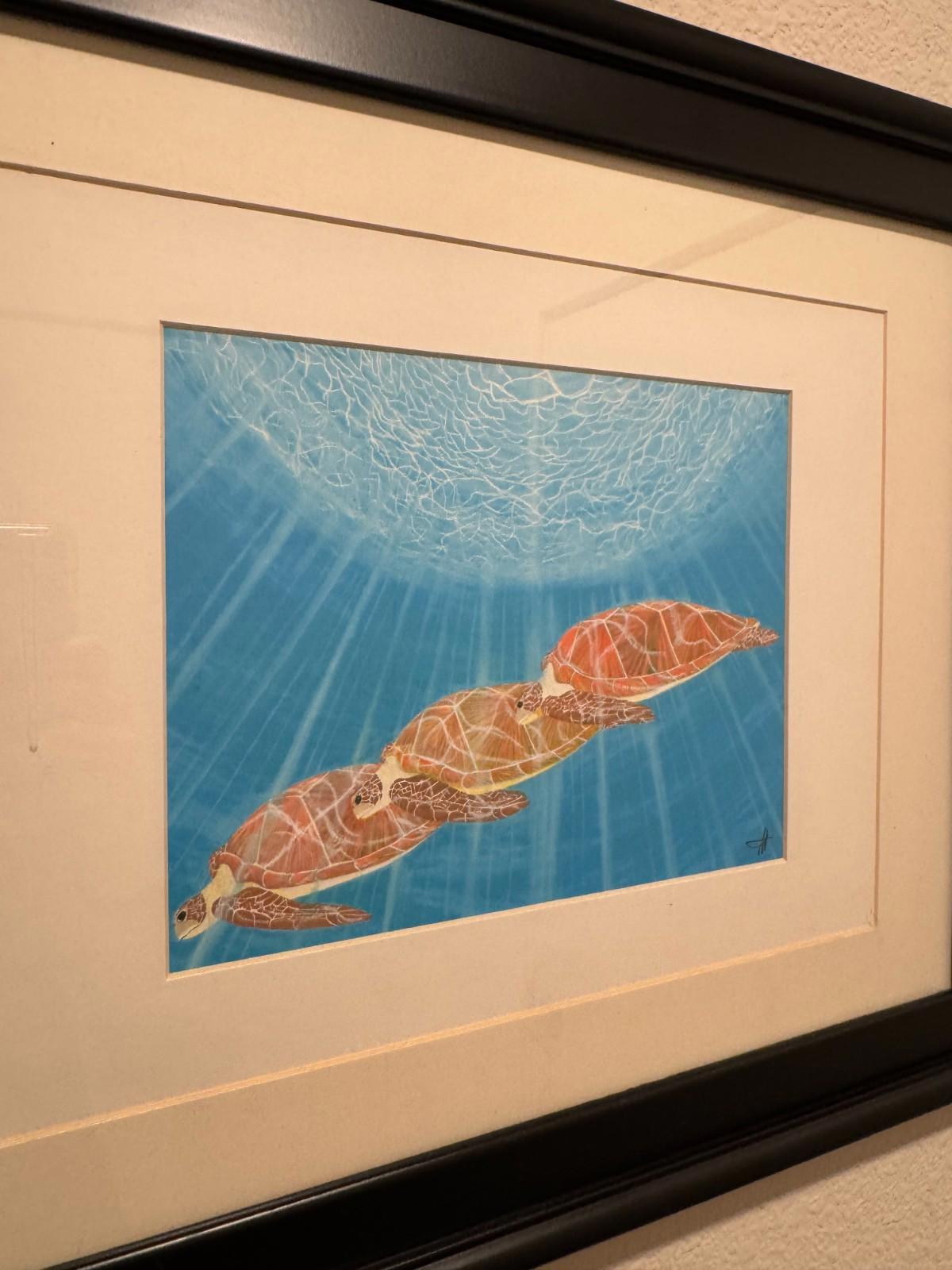 Scott Wright La Jolla Framed Sea Turtles Underwater Art Print Framed - Bird Rock