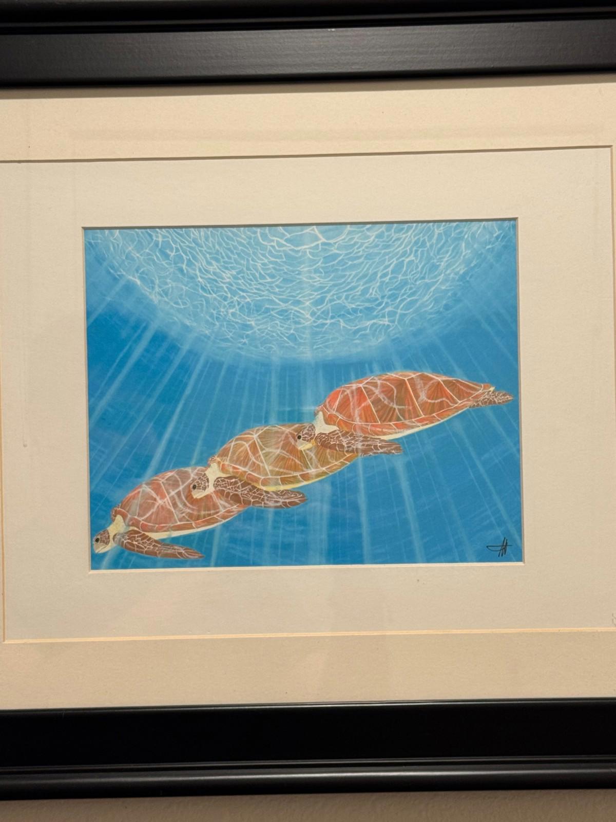Scott Wright La Jolla Framed Sea Turtles Underwater Art Print Framed - Bird Rock