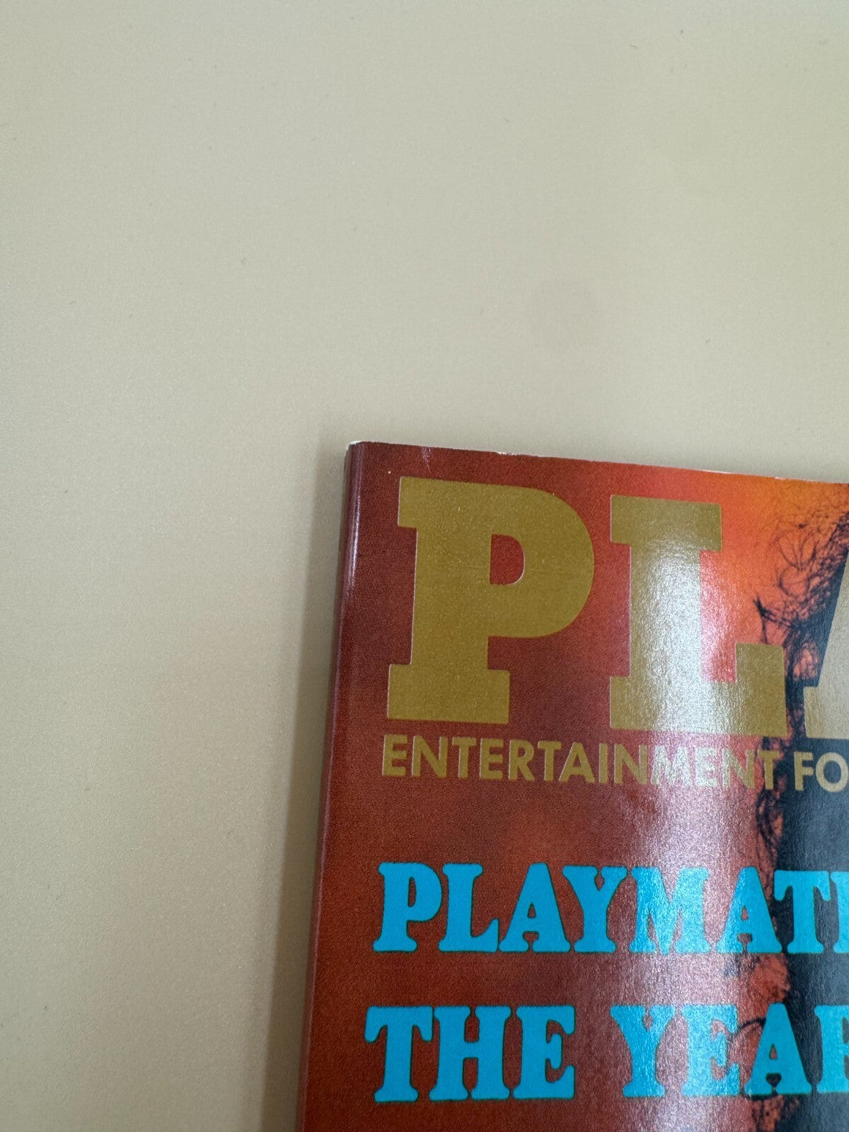 Playboy Magazine June 1990 , Vol 37 #6 , Renee Teneson Playm