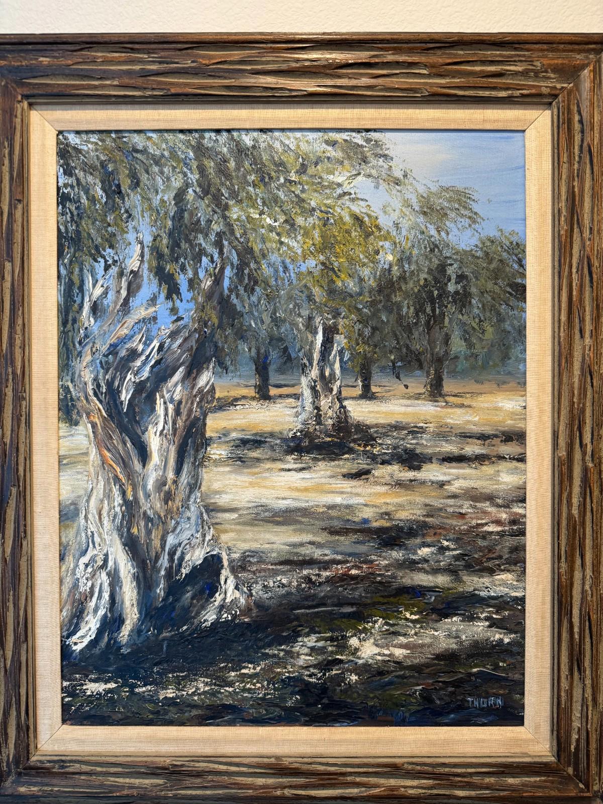 Vintage Framed Oil Painting Gnarled Olive Trees Landscape Signed Thorn 30x36 NM+