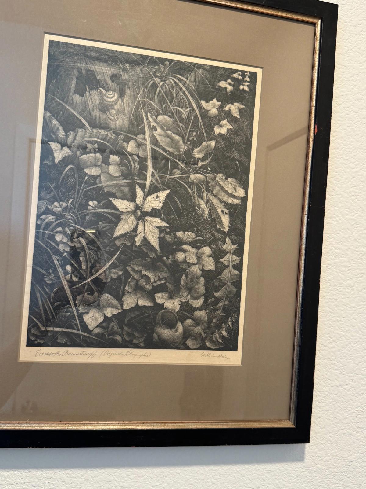 Vintage Wilhelm Heise Original Lithograph Nächtliche Blumenstücke Botanical 1925