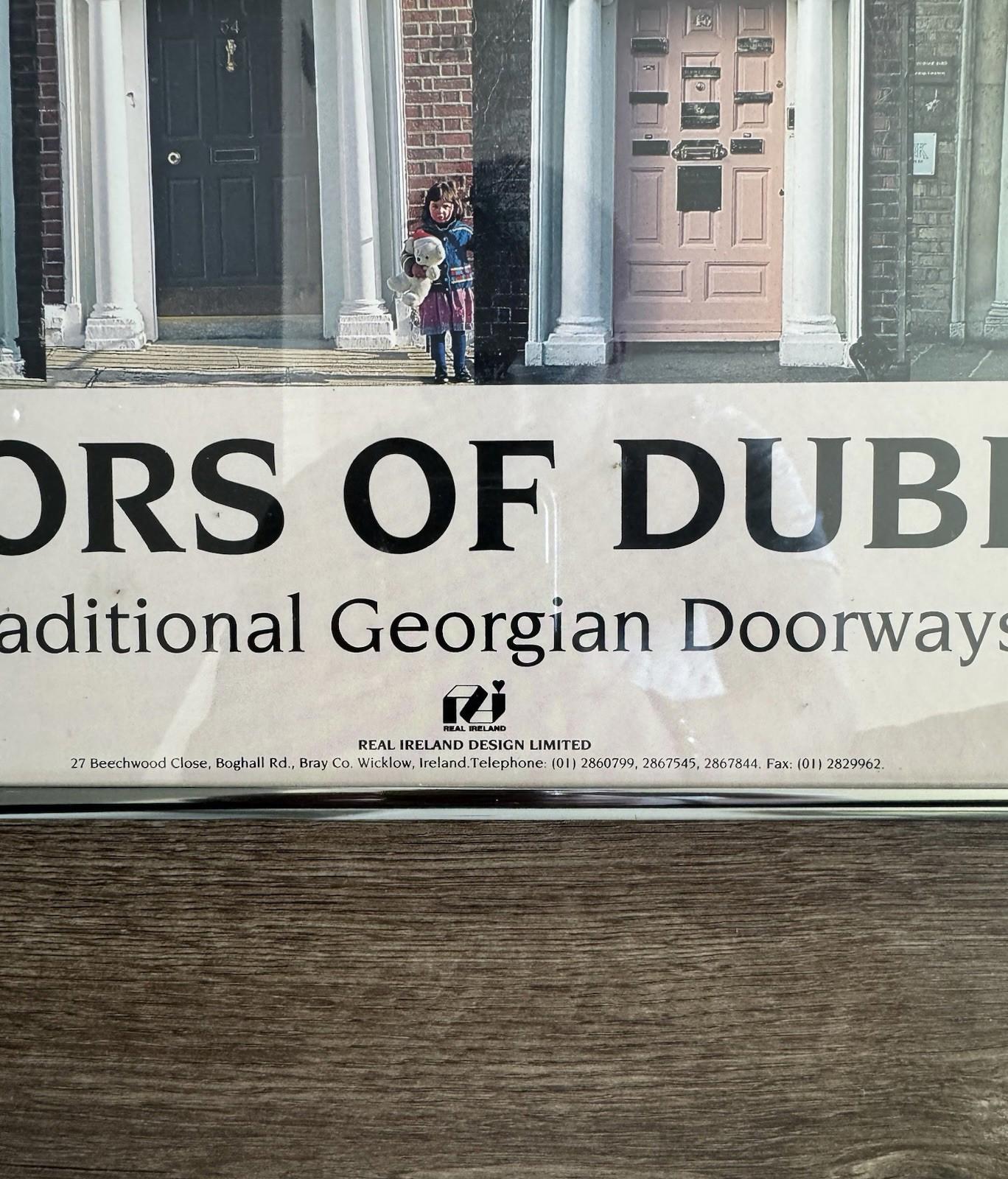 Doors Of Dublin Traditional Georgian Doorways Ireland Poster 21X34" Framed - VG+