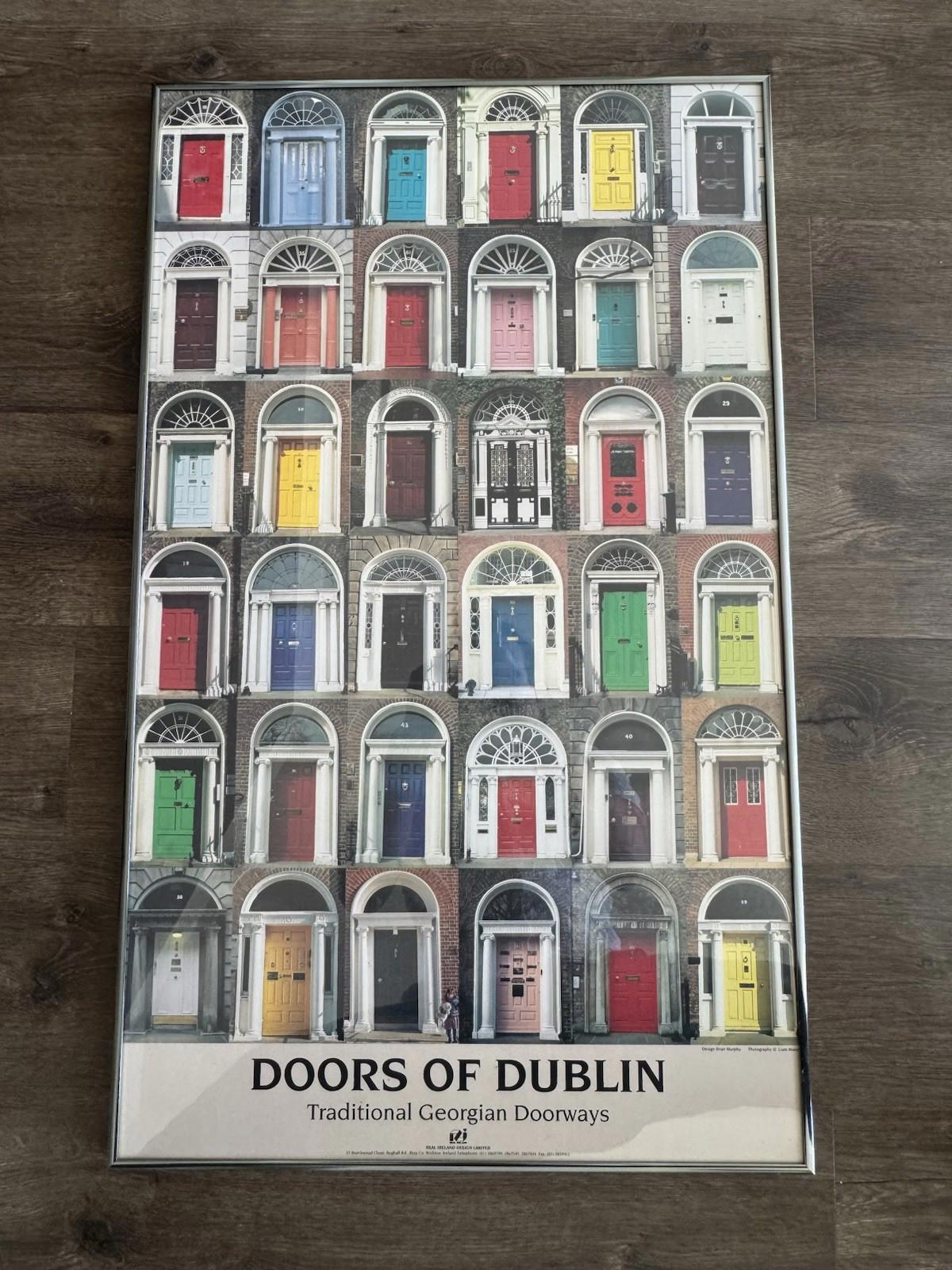 Doors Of Dublin Traditional Georgian Doorways Ireland Poster 21X34" Framed - VG+