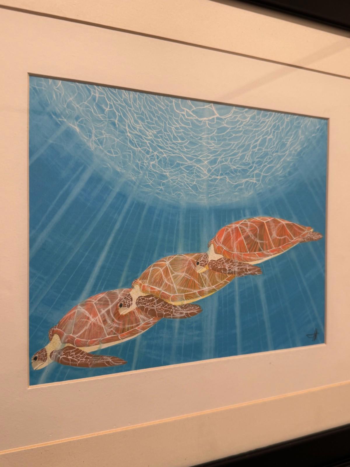 Scott Wright La Jolla Framed Sea Turtles Underwater Art Print Framed - Bird Rock
