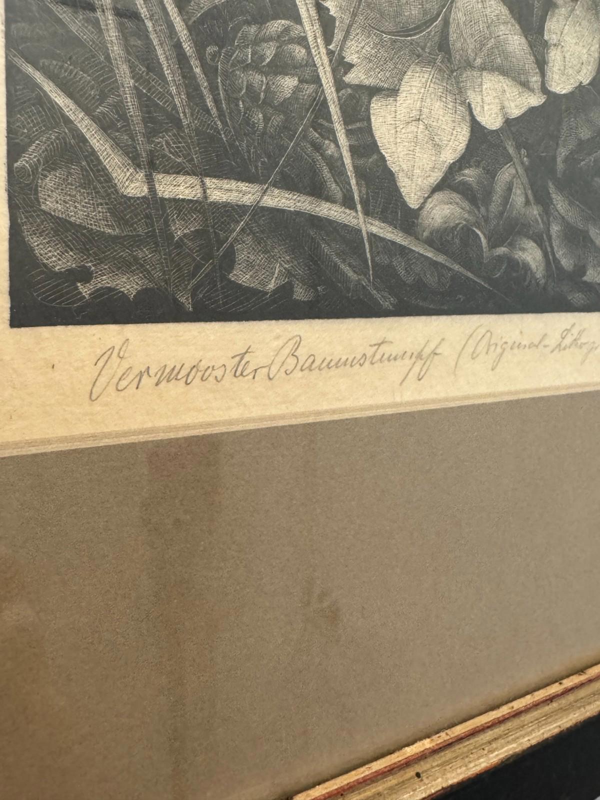 Vintage Wilhelm Heise Original Lithograph Nächtliche Blumenstücke Botanical 1925