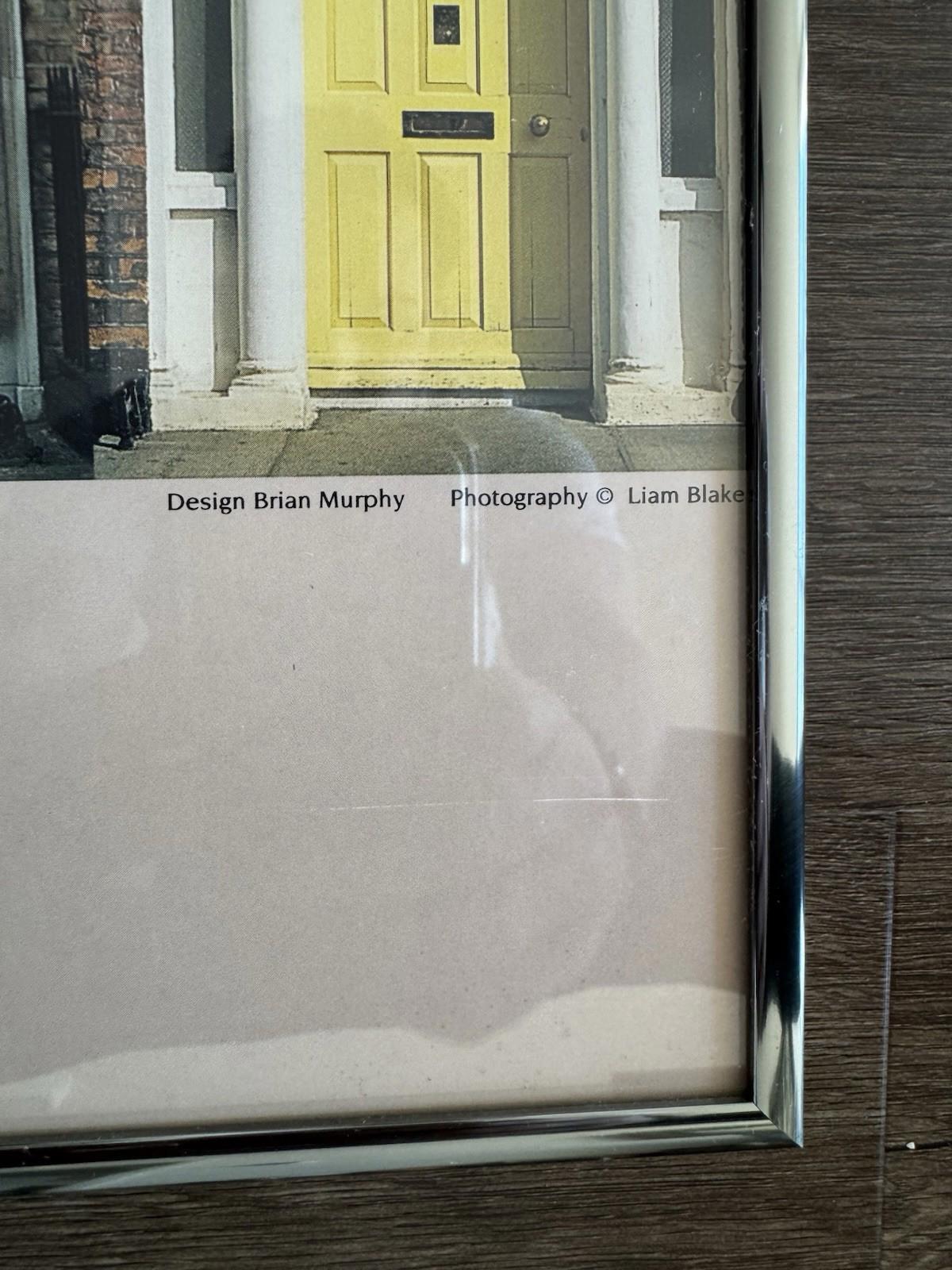 Doors Of Dublin Traditional Georgian Doorways Ireland Poster 21X34" Framed - VG+
