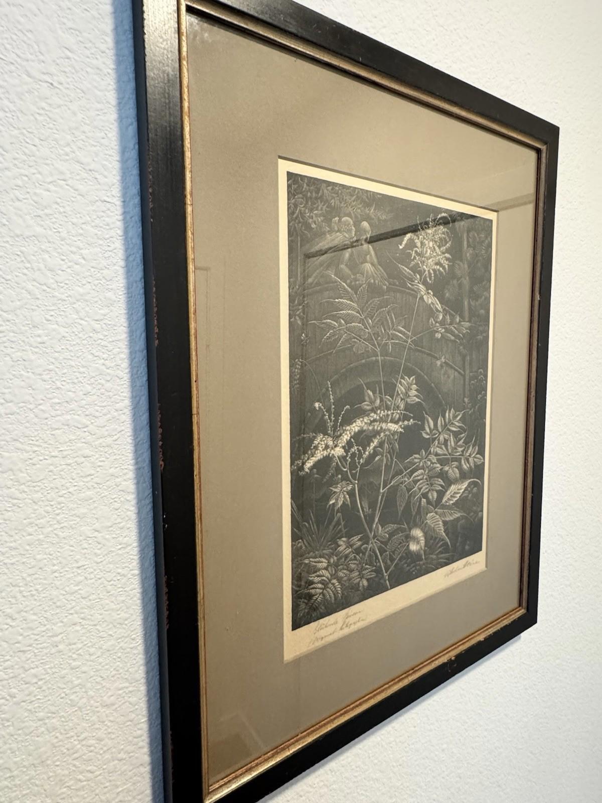 Wilhelm Heise Bluehende Spieren 1925 Lithograph Nocturnal