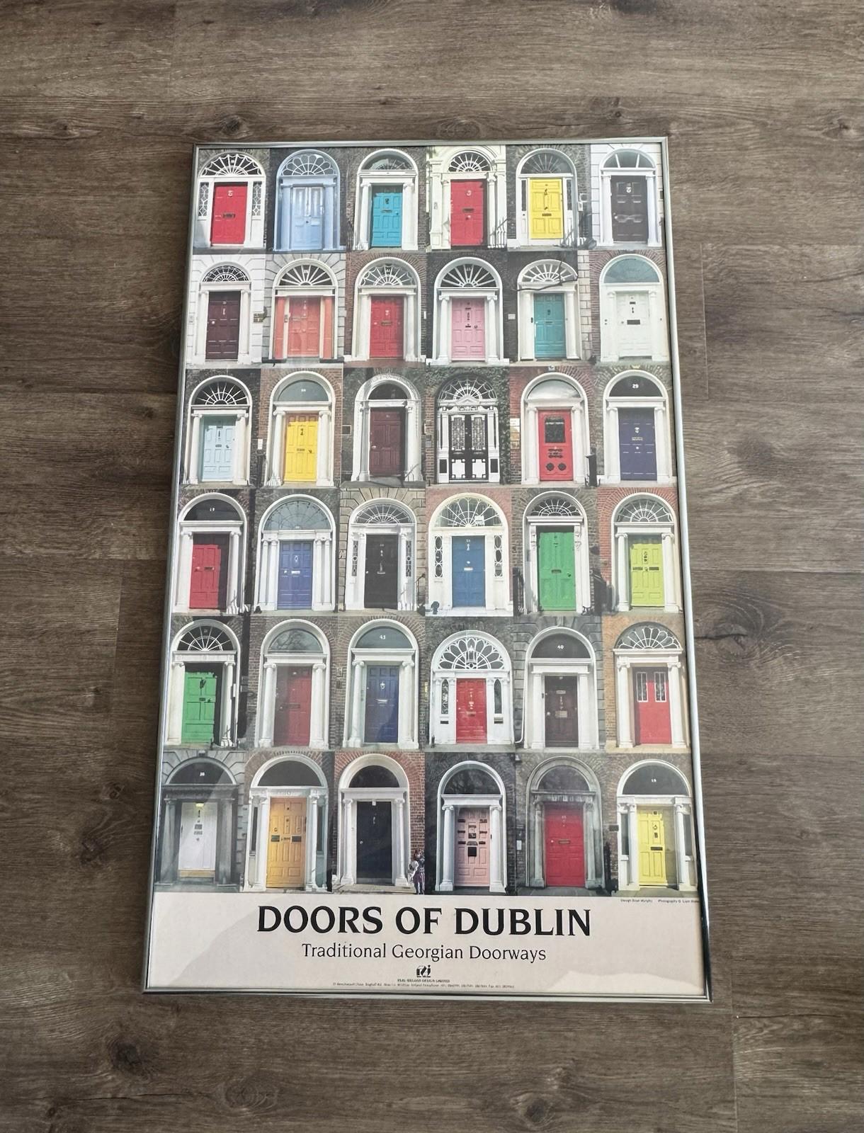 Doors Of Dublin Traditional Georgian Doorways Ireland Poster 21X34" Framed - VG+