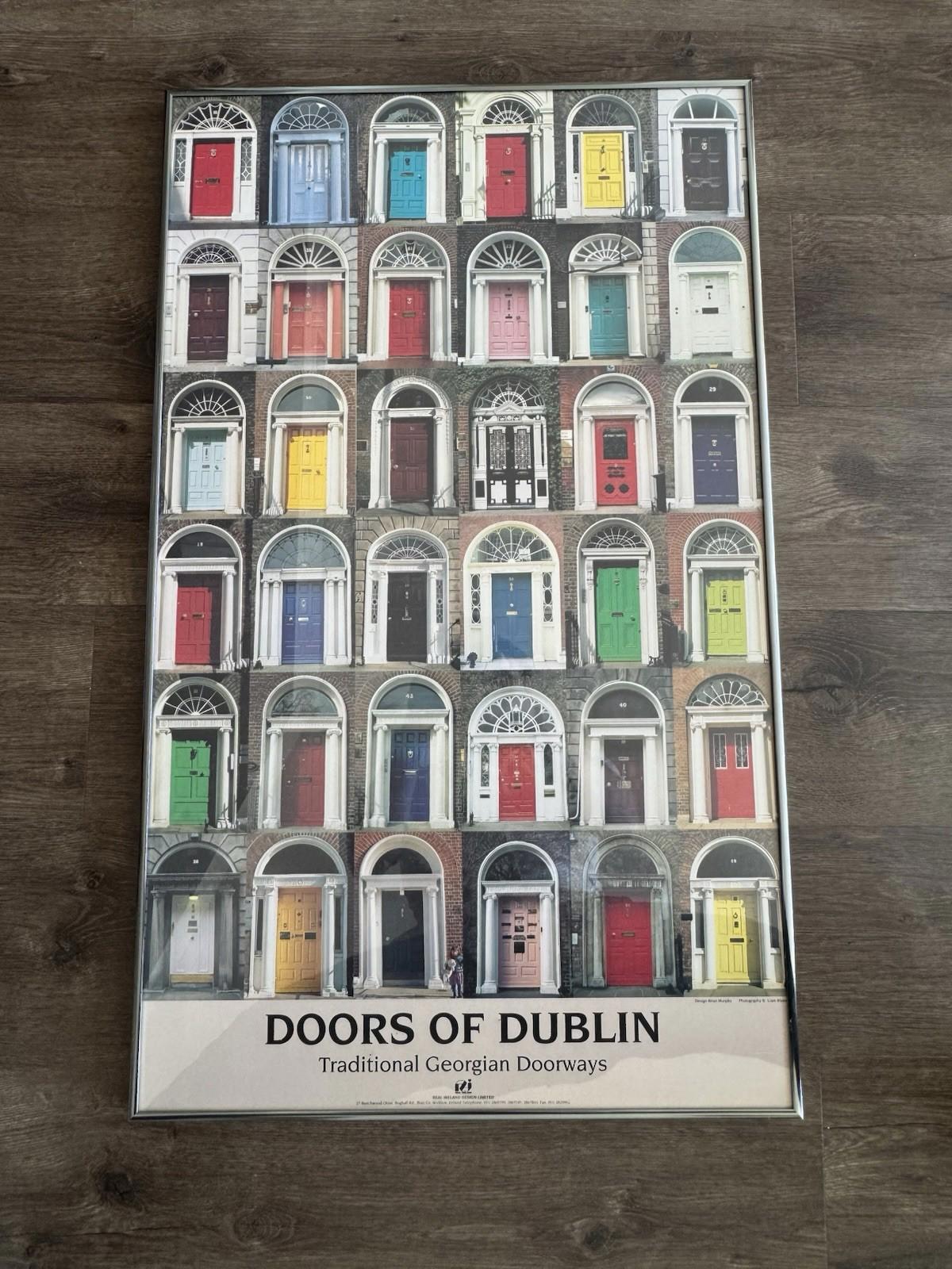 Doors Of Dublin Traditional Georgian Doorways Ireland Poster 21X34" Framed - VG+