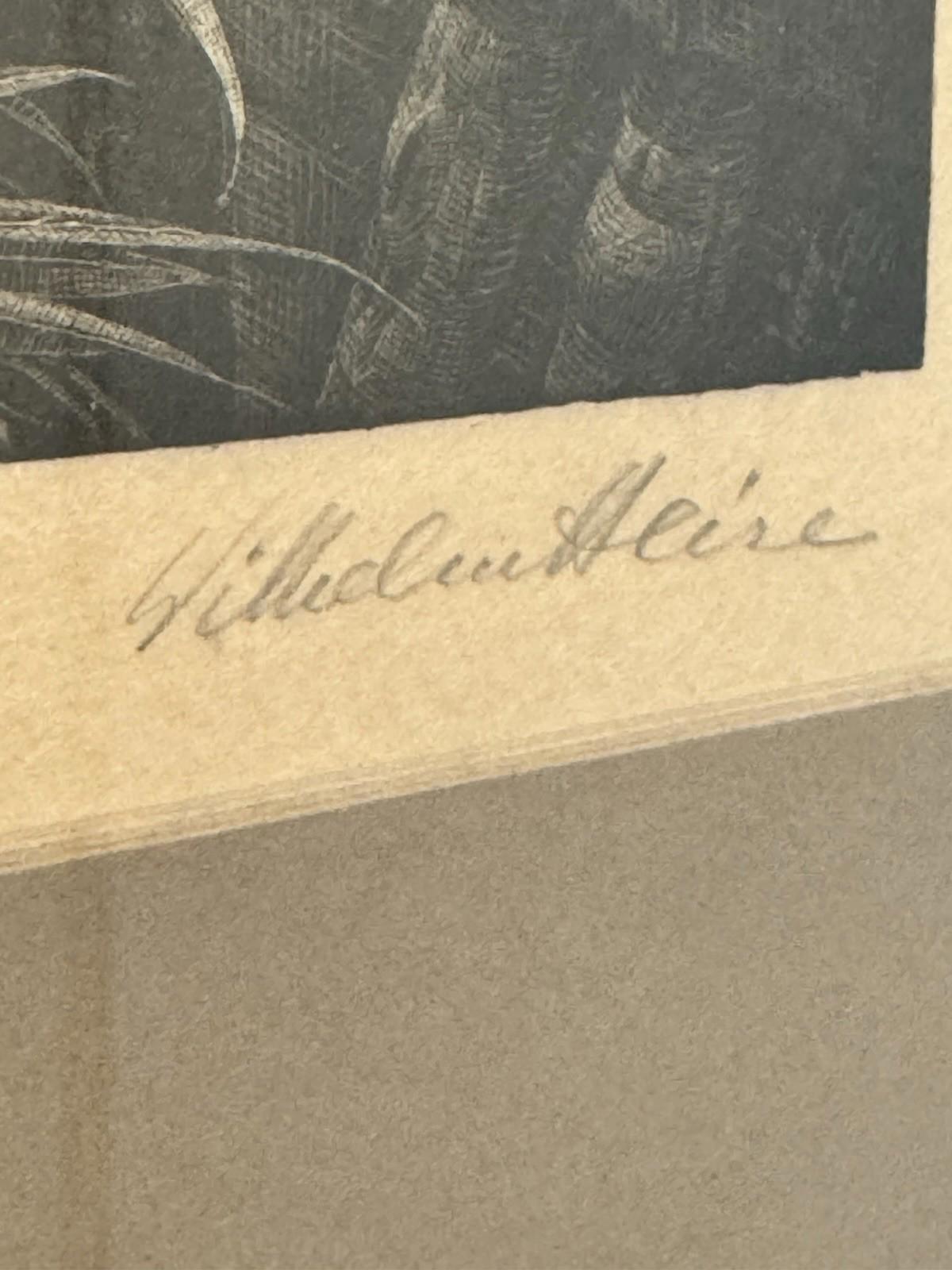 Wilhelm Heise Bluehende Spieren 1925 Lithograph Nocturnal