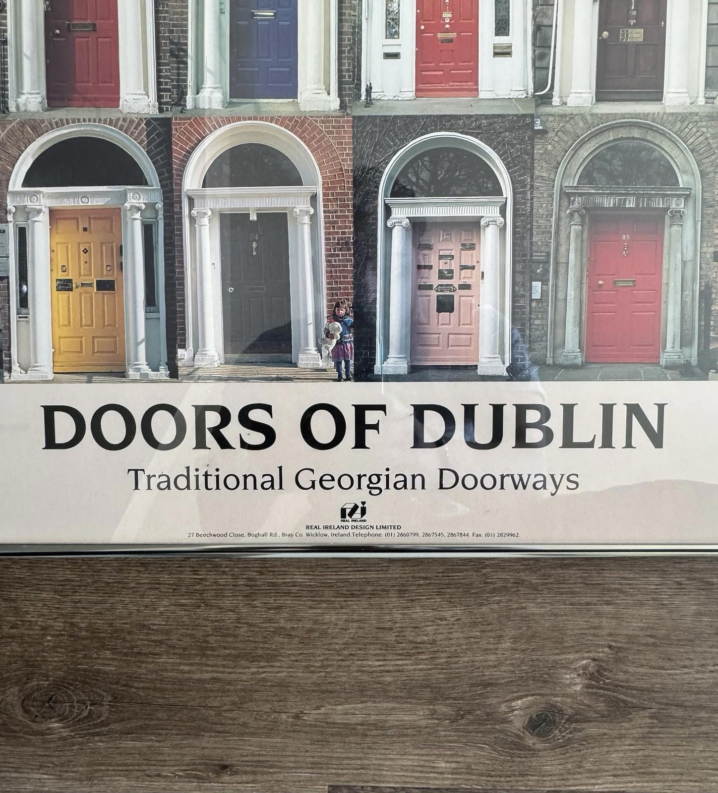 Doors Of Dublin Traditional Georgian Doorways Ireland Poster 21X34" Framed - VG+