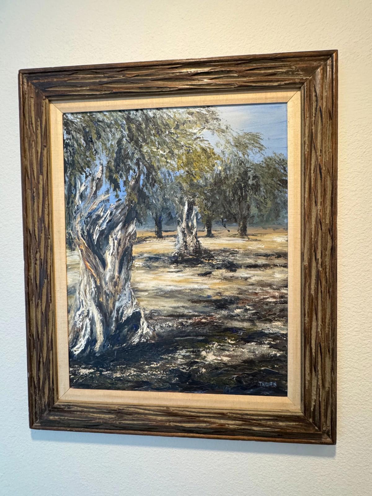 Vintage Framed Oil Painting Gnarled Olive Trees Landscape Signed Thorn 30x36 NM+