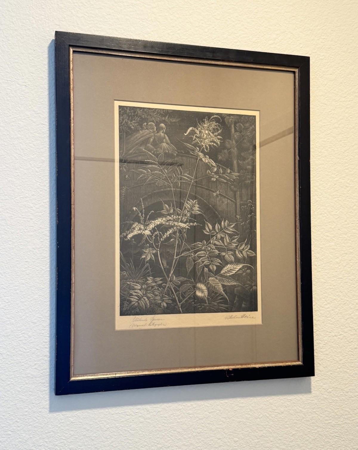 Wilhelm Heise Bluehende Spieren 1925 Lithograph Nocturnal